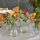 pack de 6 floreros para decorar tu mesa de celebracion 